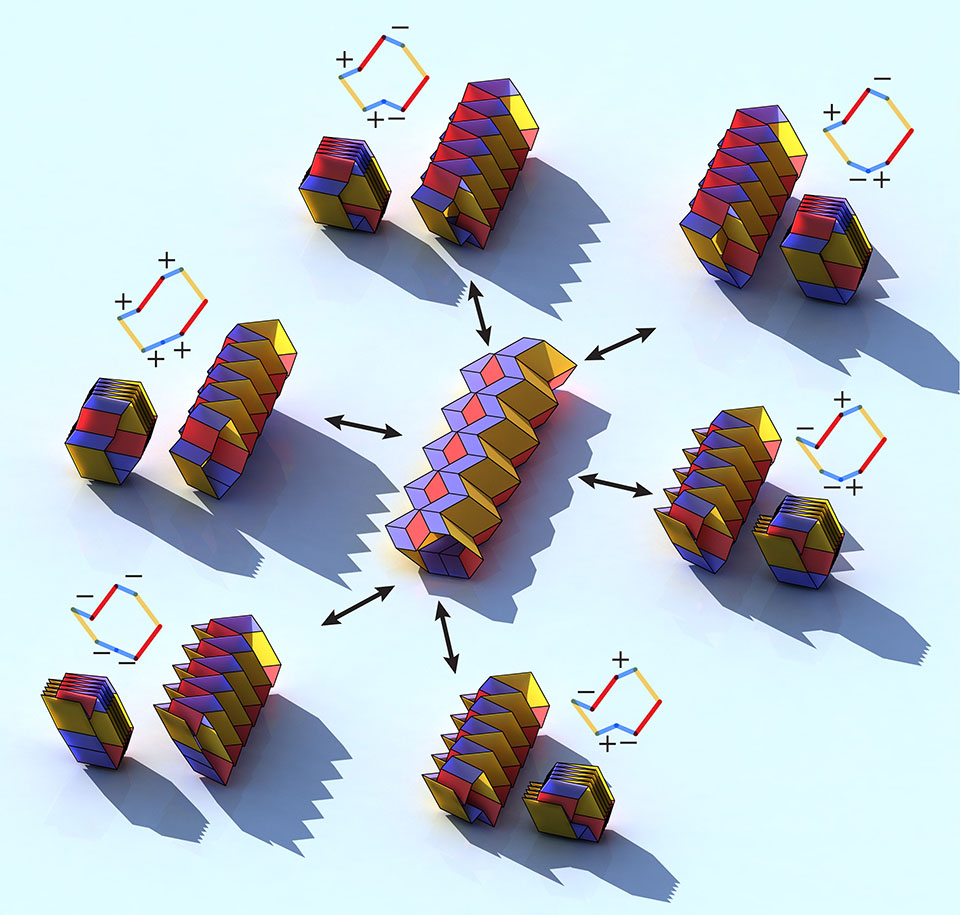 Reprogramming' structures: Paulino's team creates another